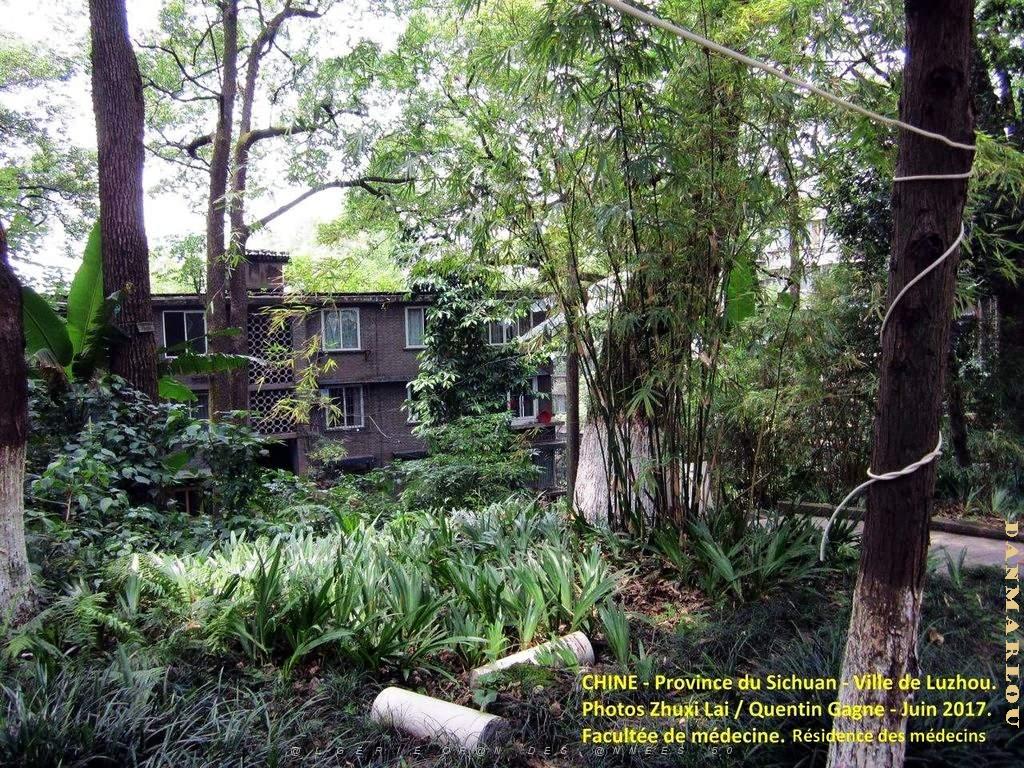 Luzhou juin 2017 - 016.JPG